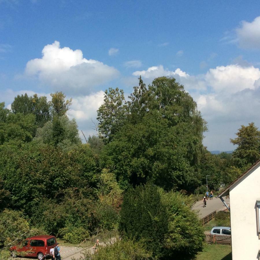 Haus Seefrieden Uhldingen-Mühlhofen Buitenkant foto